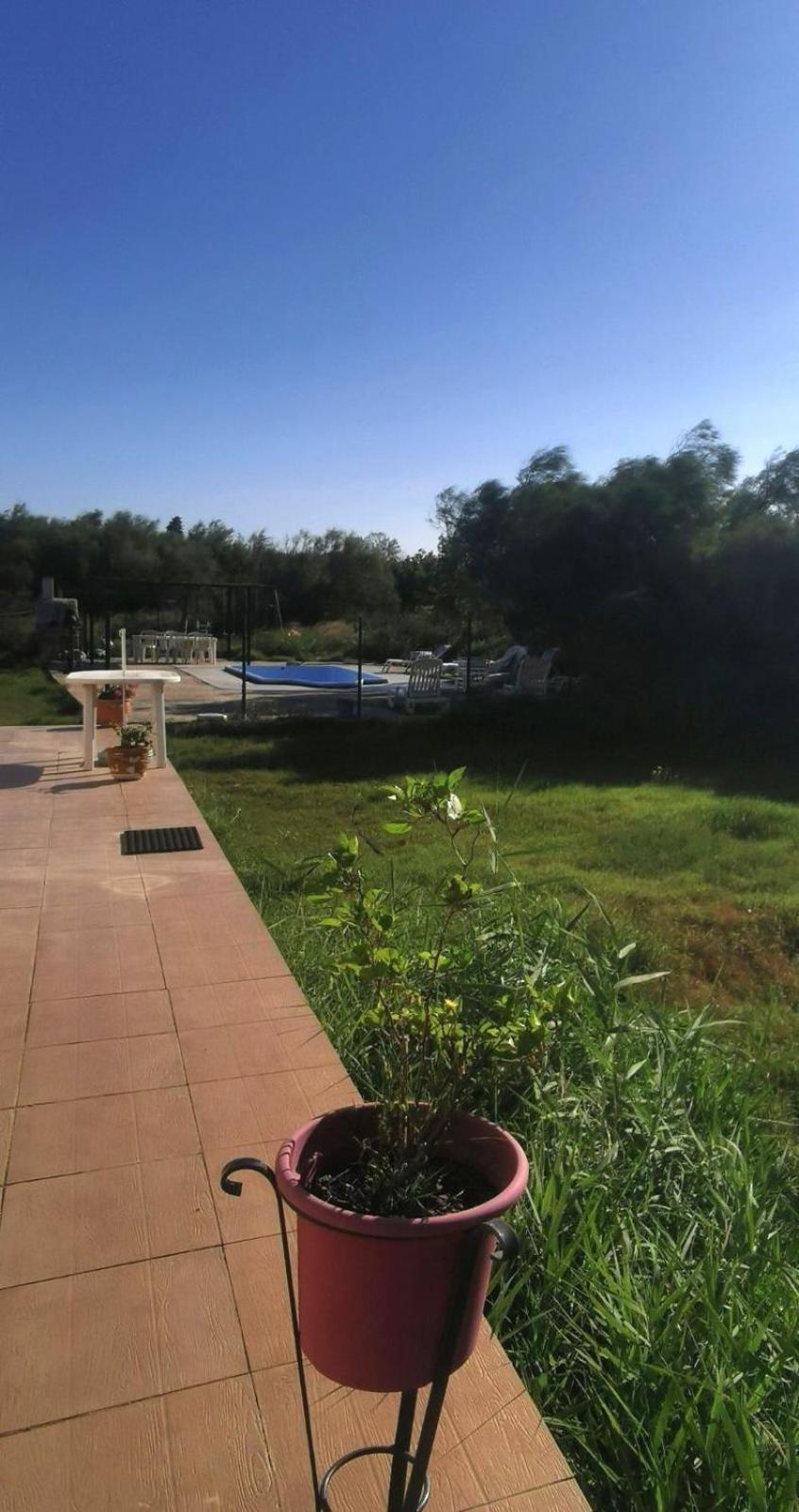 Plages De Camargue Et Logement Dans Un Site Calme De Reve アルル エクステリア 写真